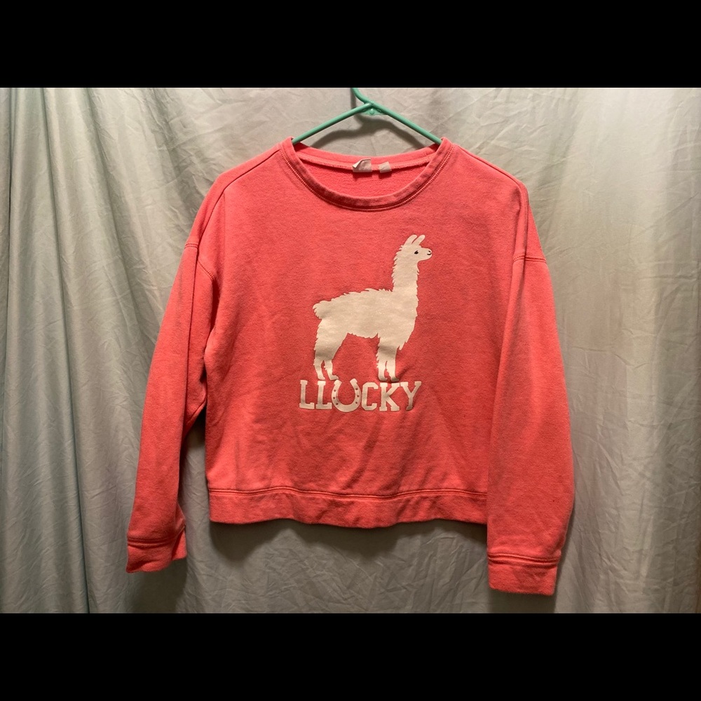 Gap kids girl Llucky sweater kids XXL 14/16